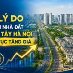 5 ly do phia tay ha noi tang gia 2026
