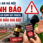 canh bao lua dao dat dau gia nam 2026