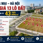 anh bia thong tin dau gia tai nam 2026
