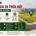 dau gia 28 lo dat tai dai xuyen nam 2026