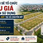 ha noi dau gia 31 thua dat tai chuyen my nam 2026