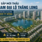 ha noi sap dau thau kdt nam dai lo thang long nam 2026