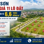 hien ninh dau gia dat nam 2026