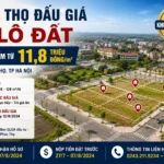 phuc tho dau gia 17 lo dat nam 2026