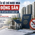 viet kieu chi duoc mua nha nam 2026