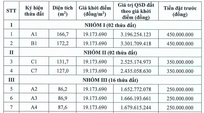 Hà Nội: Đấu giá 20 thửa đất tại xã Đa Phúc, giá khởi điểm 19 triệu đồng/m² dau gia dat da phuc p1 2026