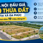 dau gia dat da phuc 2026